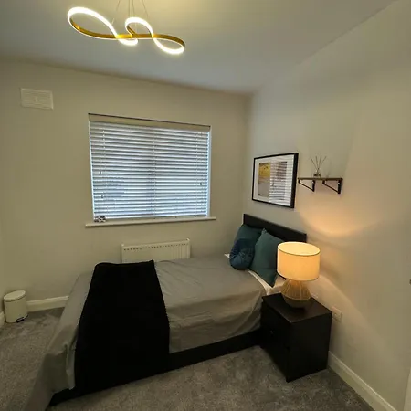 Modern Double & Single With Cozy Vibes